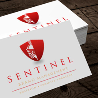 Forza SentinelBrandManagementbrandingdesignwork