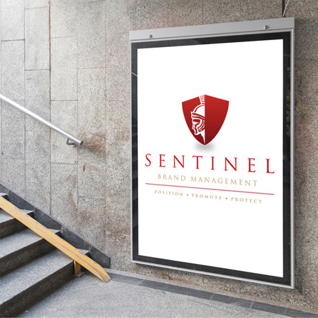 Forza SentinelBrandManagementbrandingdesignwork