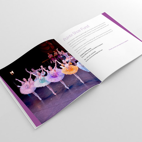 Forza! design agency in Cork provided Cork City Ballet – Website and Brochure design