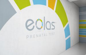 Eolas OFFICE design by Forza! Cork