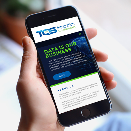 Forza! branding agency Cork did a full rebrand for International data Intelligence leaders TQS