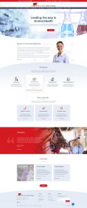 01 Homepage V1 - 01_Homepage_V1