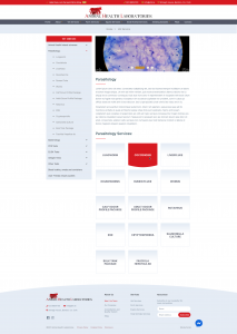 03 Services V1 - 03_Services_V1