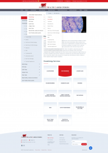 03 Services V1 dropdown - 03_Services_V1-dropdown