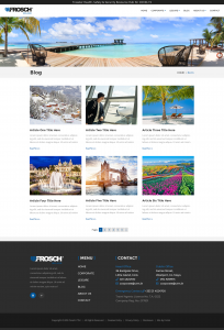 Frosch BLOG v1 - Frosch_BLOG_v1