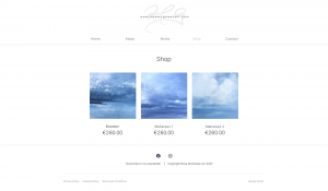 04 Rose Mcgowan Shop V2 - 04-Rose-Mcgowan-Shop-V2